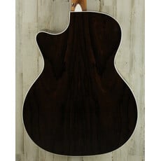 Martin USED Martin Road Series GPC-13E Ziricote (851)