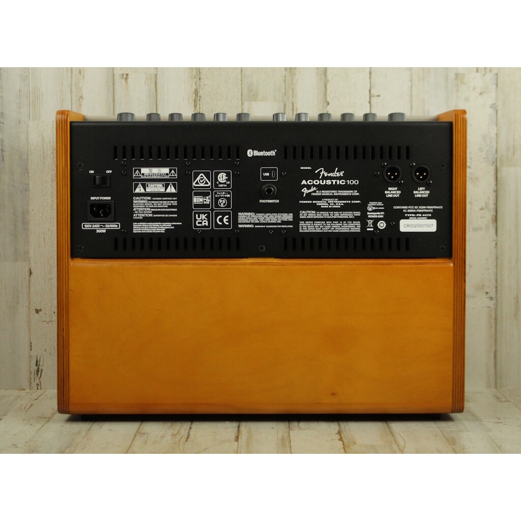 Fender DEMO Fender Acoustic 100 (507)