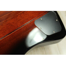 Epiphone USED 2021 Epiphone Firebird (551)
