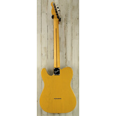 Fender DEMO Fender American Professional Classic Telecaster - Butterscotch Blonde (525)
