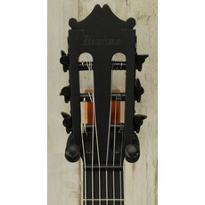 Ibanez DEMO Ibanez GA621-BOT Cutaway Thinline Nylon - Black Out (253)