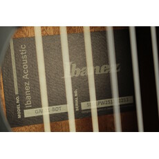Ibanez DEMO Ibanez GA621-BOT Cutaway Thinline Nylon - Black Out (253)