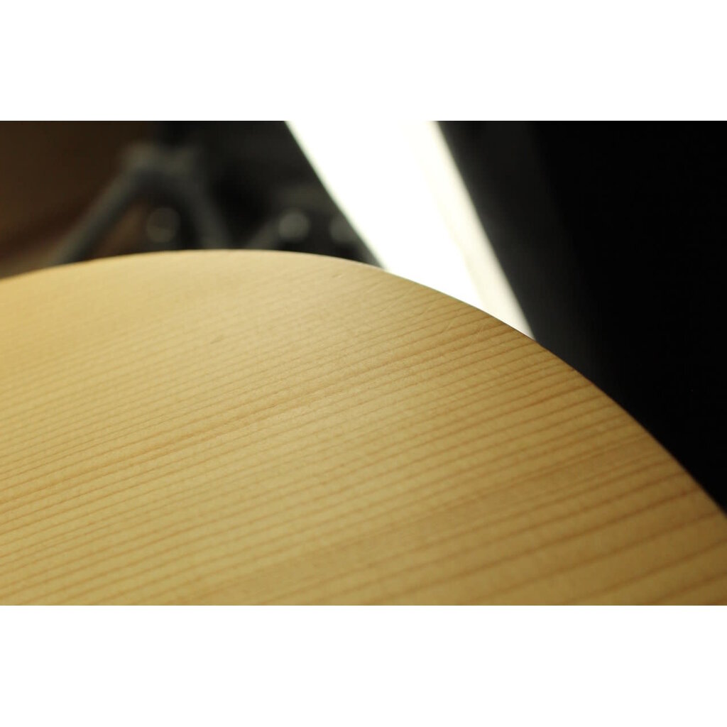 Martin USED Martin D-X2E (142)