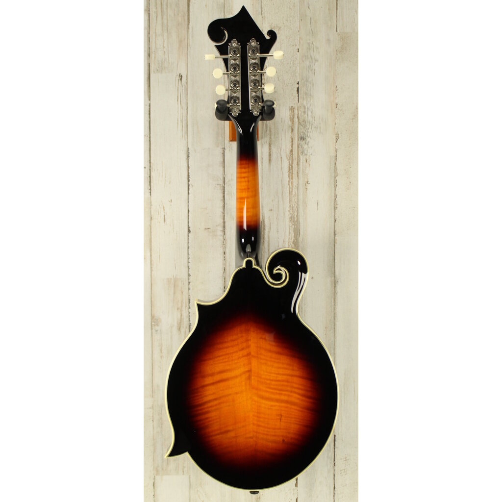 Loar USED Loar LM-600 (084)