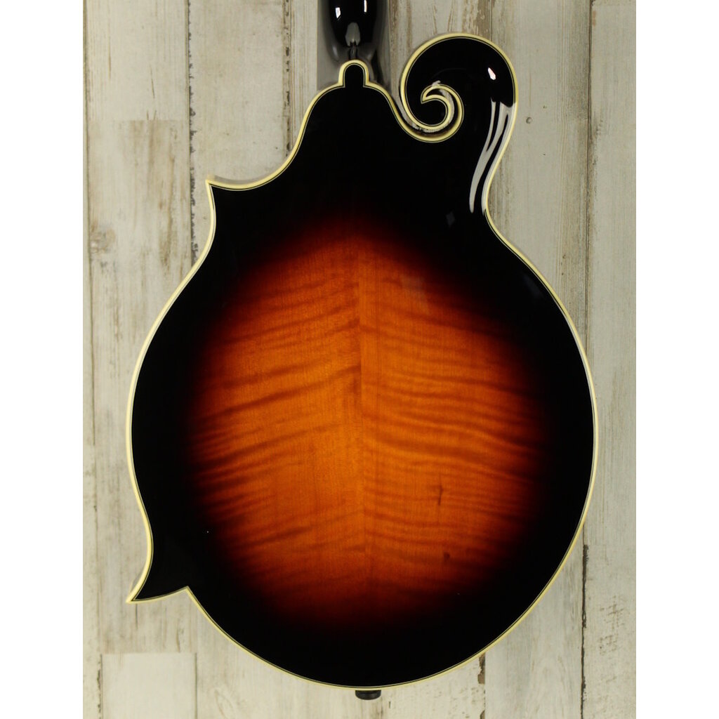 Loar USED Loar LM-600 (084)