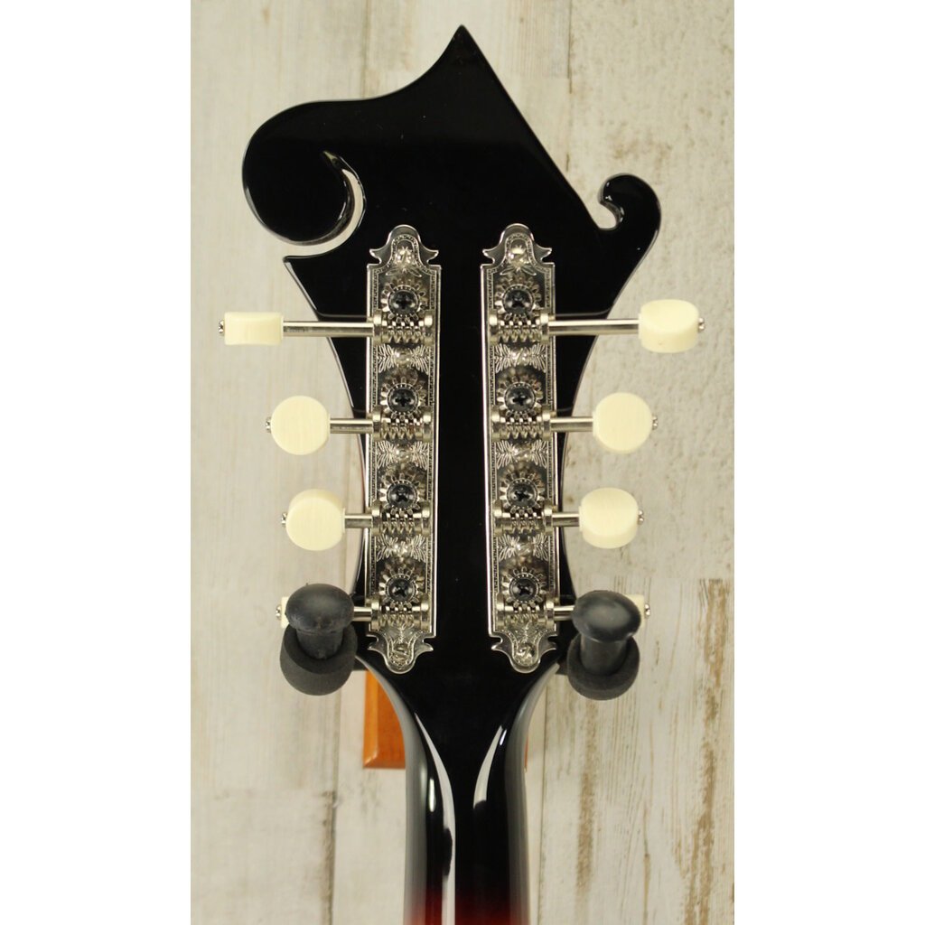 Loar USED Loar LM-600 (084)