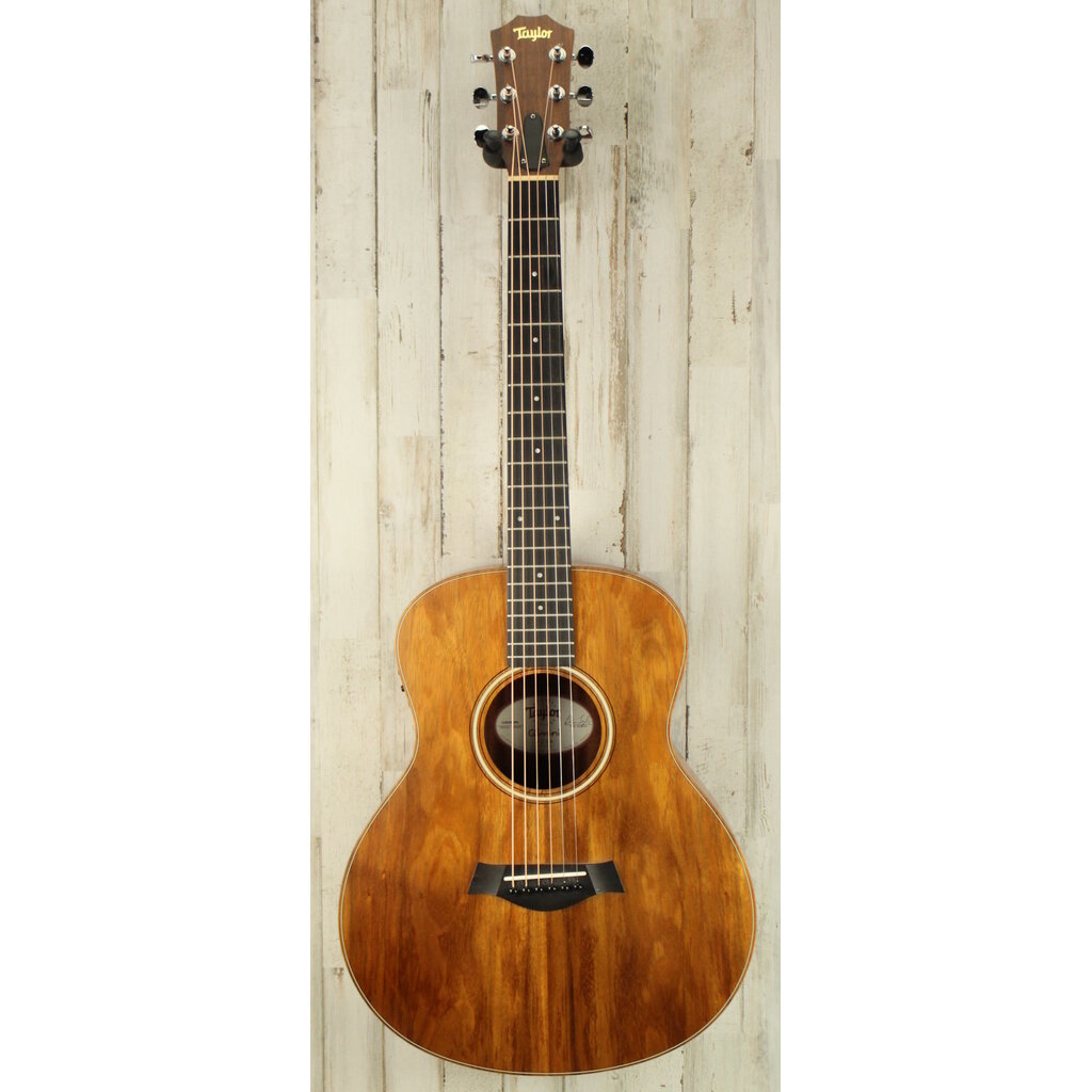 Taylor PROJECT Taylor GS Mini (096)