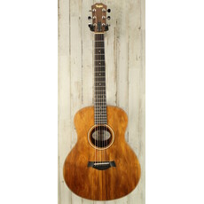 Taylor PROJECT Taylor GS Mini (096)