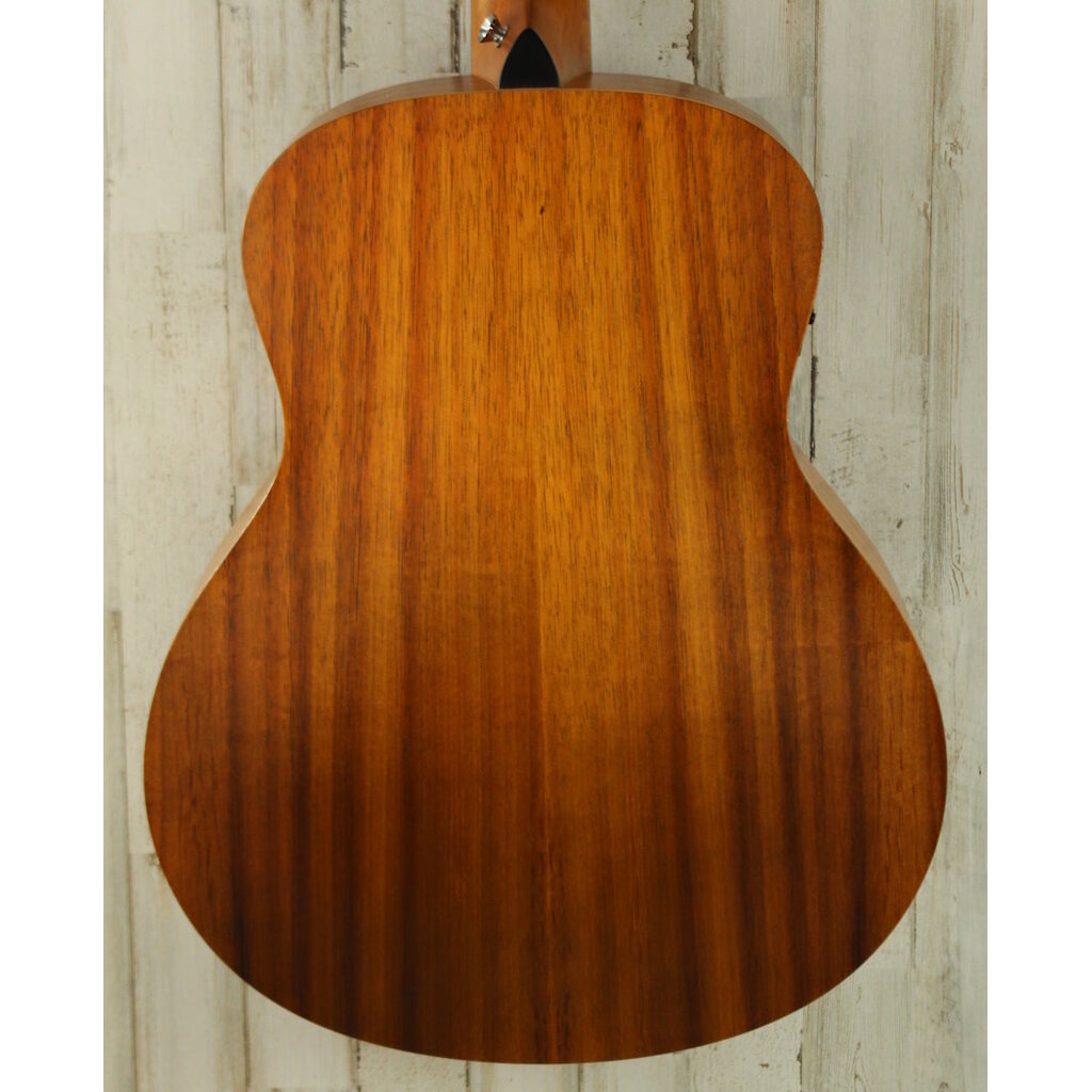 Taylor PROJECT Taylor GS Mini (096)