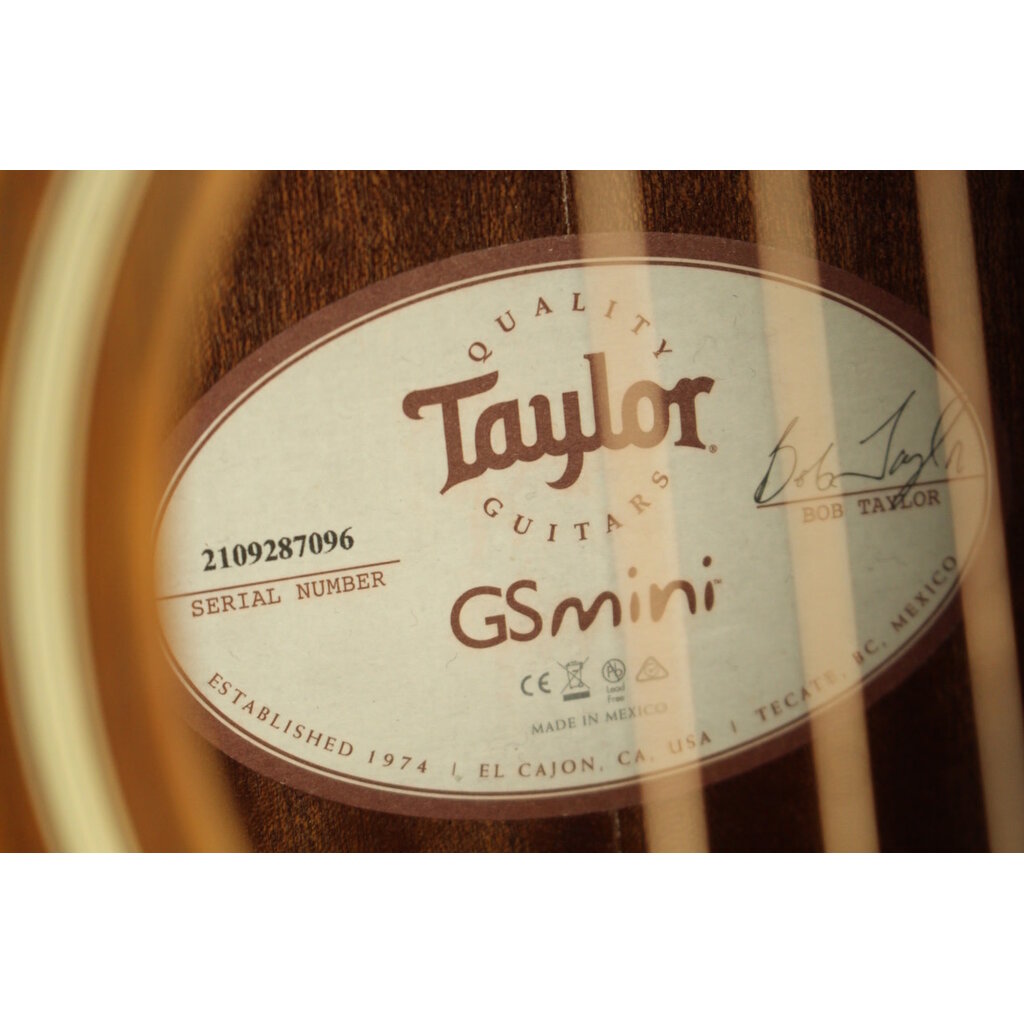 Taylor PROJECT Taylor GS Mini (096)