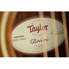 Taylor PROJECT Taylor GS Mini (096)