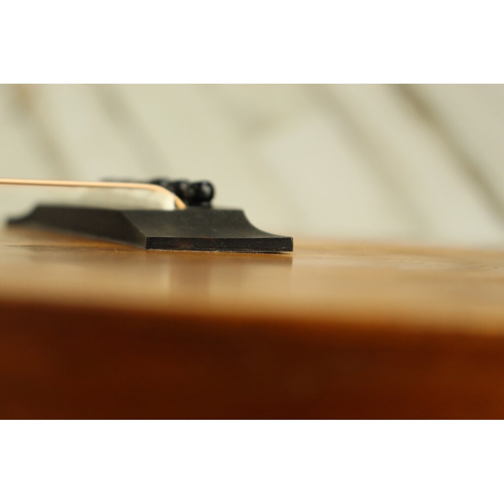 Taylor PROJECT Taylor GS Mini (096)