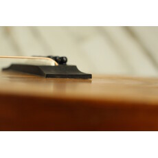 Taylor PROJECT Taylor GS Mini (096)