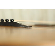 Taylor PROJECT Taylor GS Mini (096)