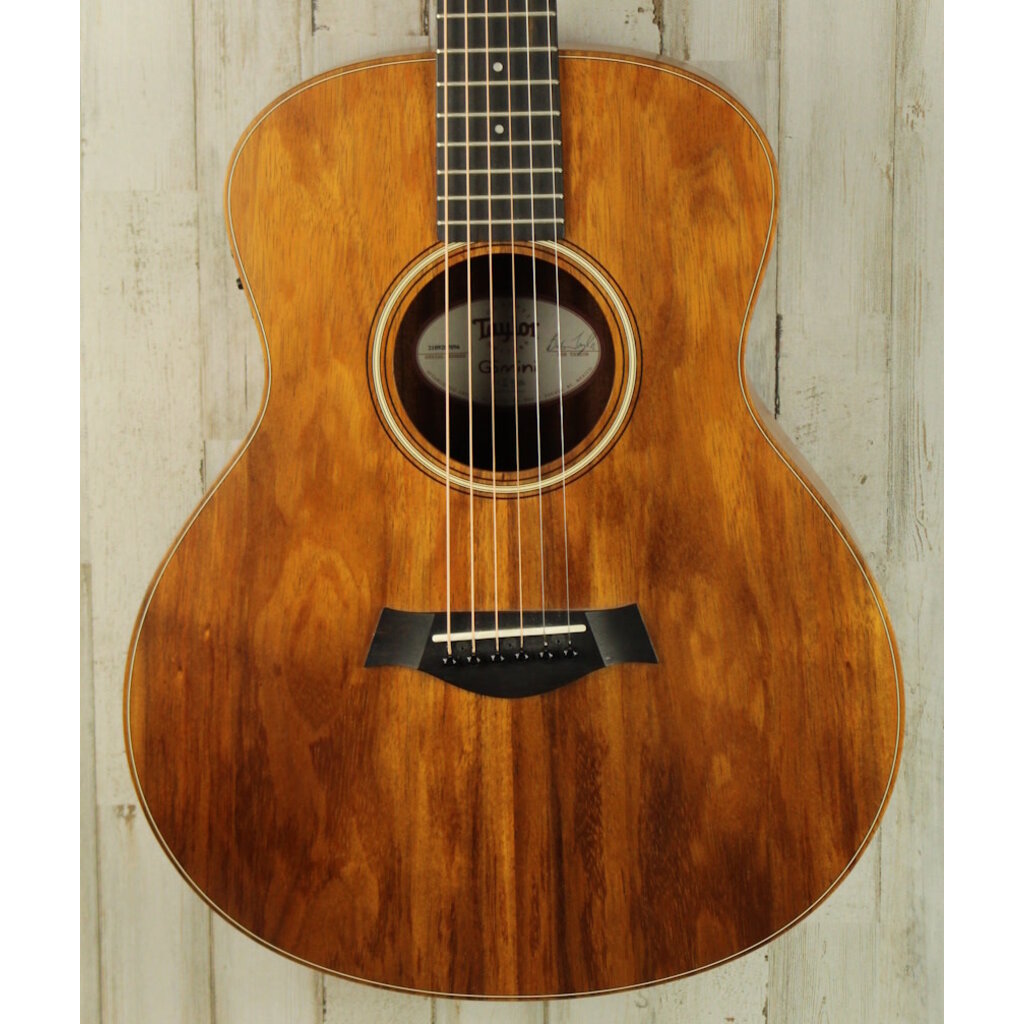 Taylor PROJECT Taylor GS Mini (096)