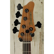 Ibanez DEMO Ibanez Mode MDM1605 5-String - Deep Twilight (528)