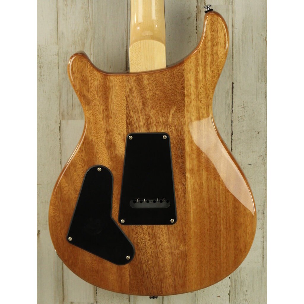 Paul Reed Smith USED Paul Reed Smith SE Custom 22 Semi Hollow (457)