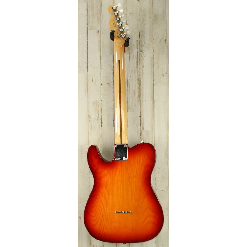 Fender USED 2017 Fender Special Edition Deluxe Ash Telecaster (611)