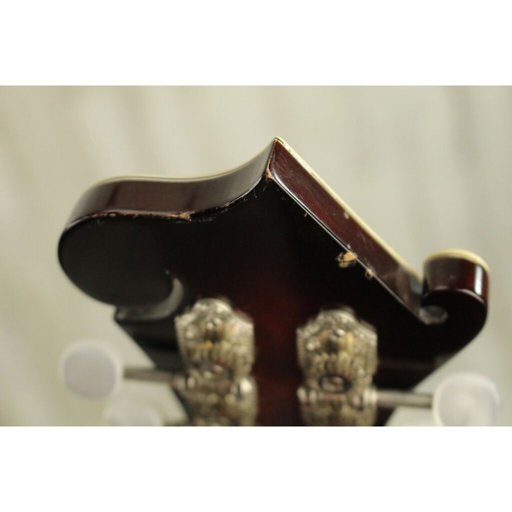 Ridge USED Ridge RGMF2 F-Style Mandolin (025)