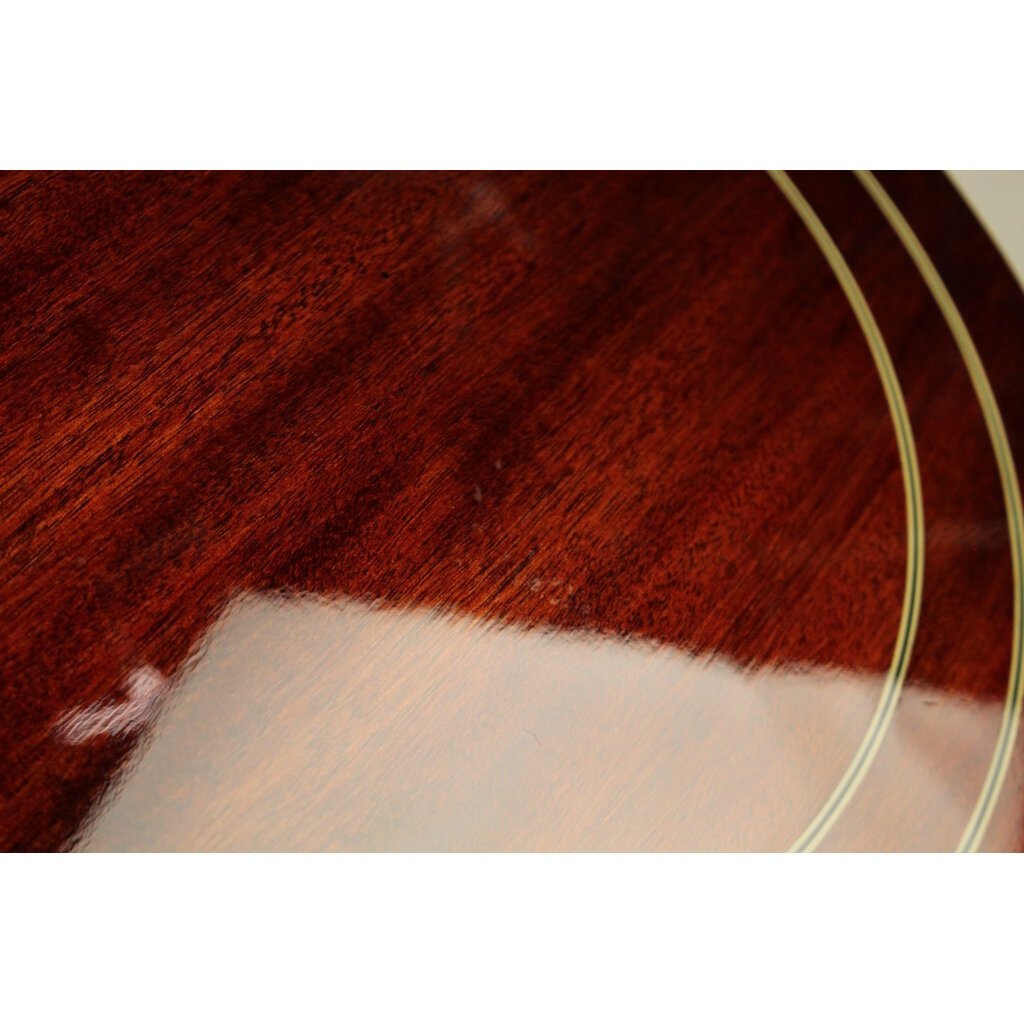 Gold Tone USED Gold Tone OB-3 Orange Blossom Twanger (240)