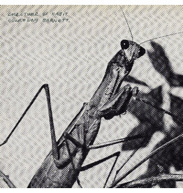 Vinyl NEW Courtney Barnett-Creature of Habit-LP Indie Exclusive