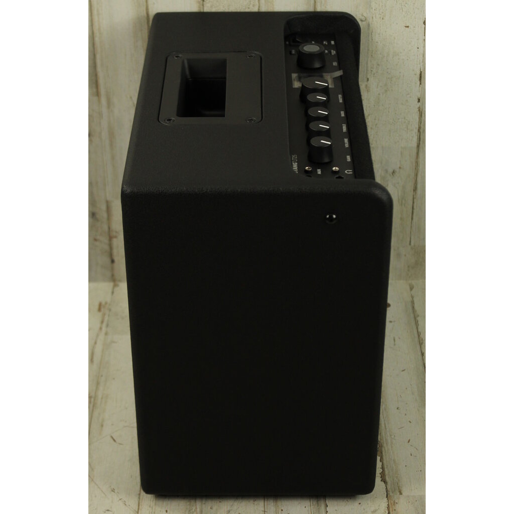 Fender DEMO Fender Mustang LT25 (467)