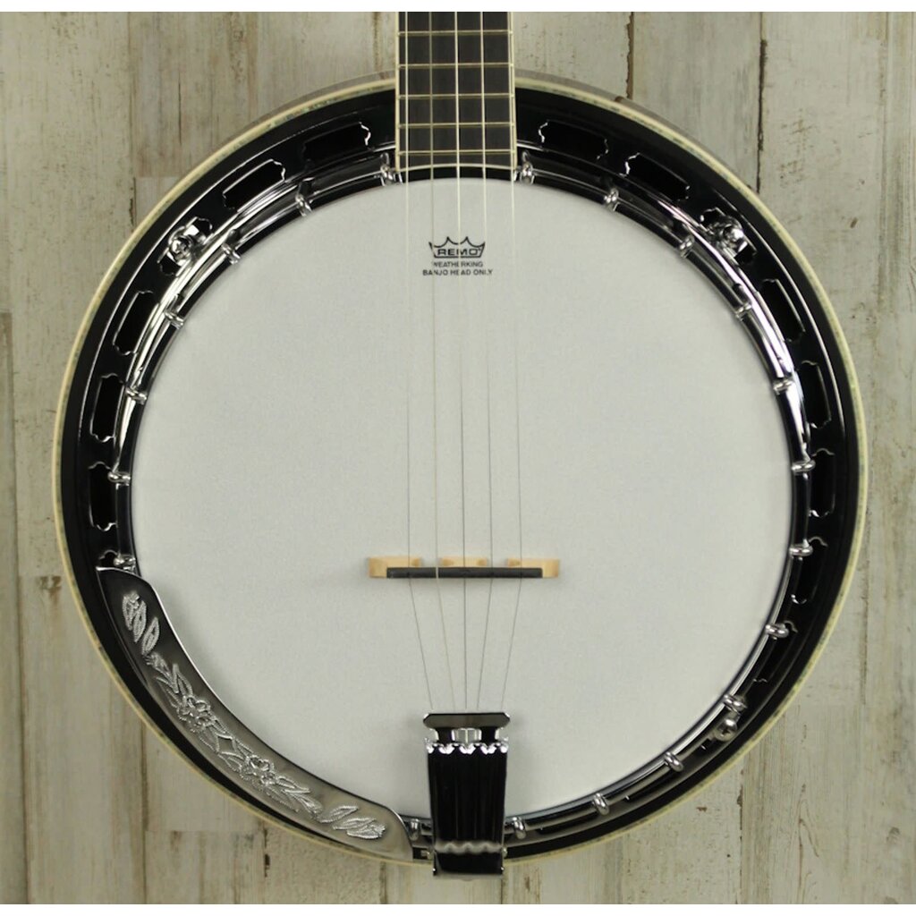 Ibanez DEMO Ibanez B300 Banjo (840)