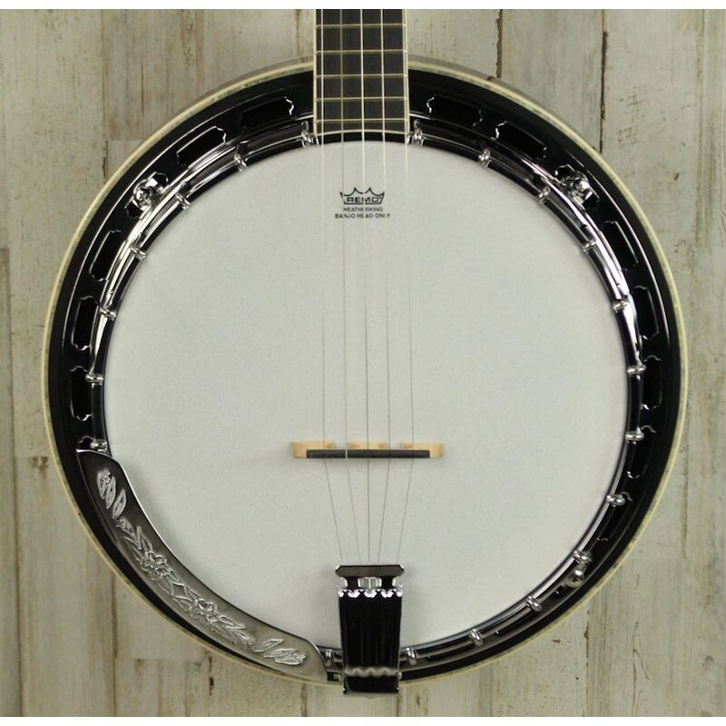 Ibanez DEMO Ibanez B300 Banjo (840)