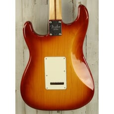 Fender USED Fender American Professional Stratocaster HSS (925)