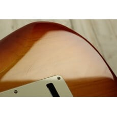 Fender USED Fender American Professional Stratocaster HSS (925)