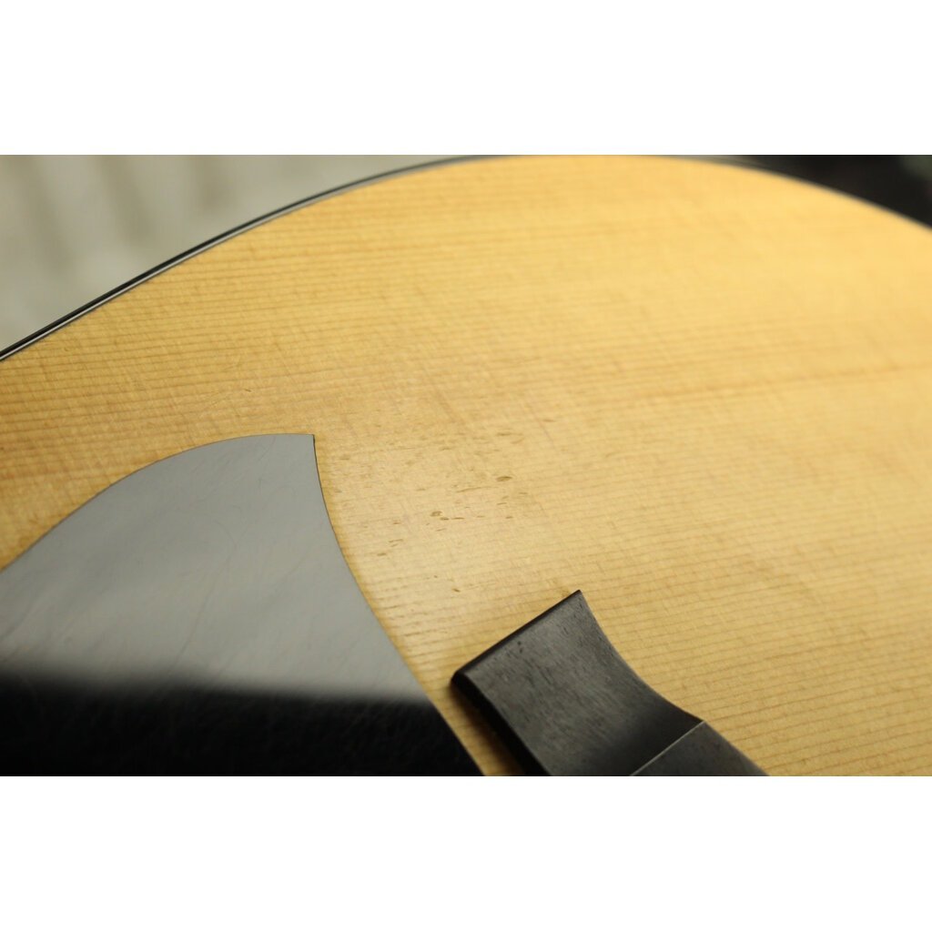 Taylor USED Taylor 110e (324)