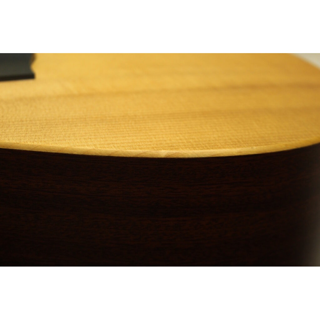 Martin USED Martin D12X1AE (883)