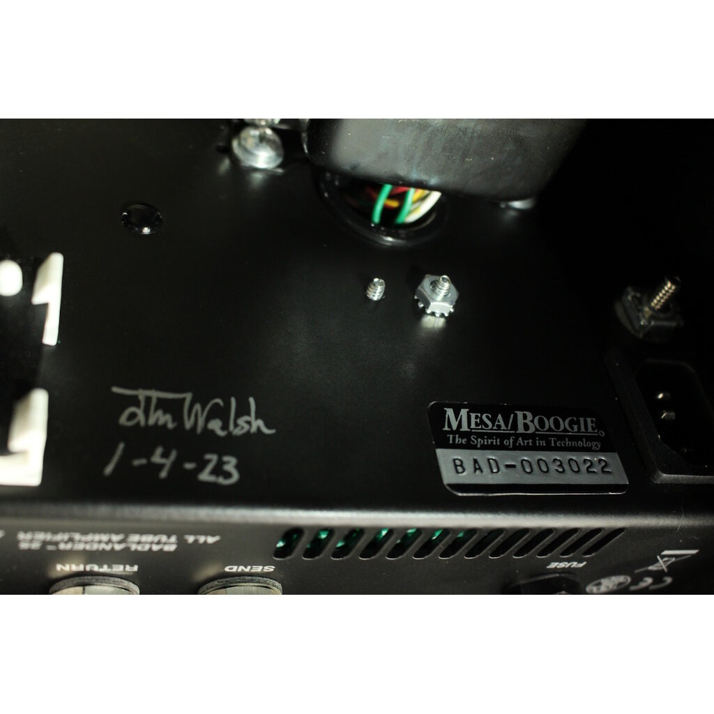 Mesa Boogie USED Mesa Boogie Badlander 25 Combo (022)