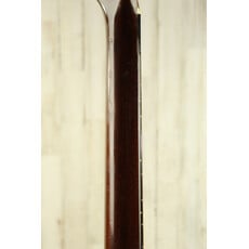 Martin VINTAGE 1976 Martin D-76 Bicentennial (700)