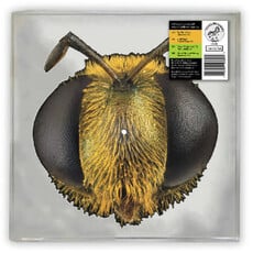 Vinyl NEW King Gizzard and the Lizard Wizard-Big Fig Wasp-Picture Disk RSD