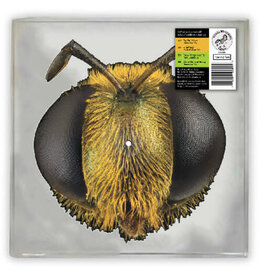 Vinyl NEW King Gizzard and the Lizard Wizard-Big Fig Wasp-Picture Disk RSD