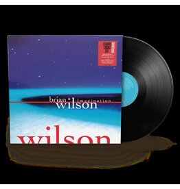 Vinyl NEW Brian Wilson-Imagination-LP RSD
