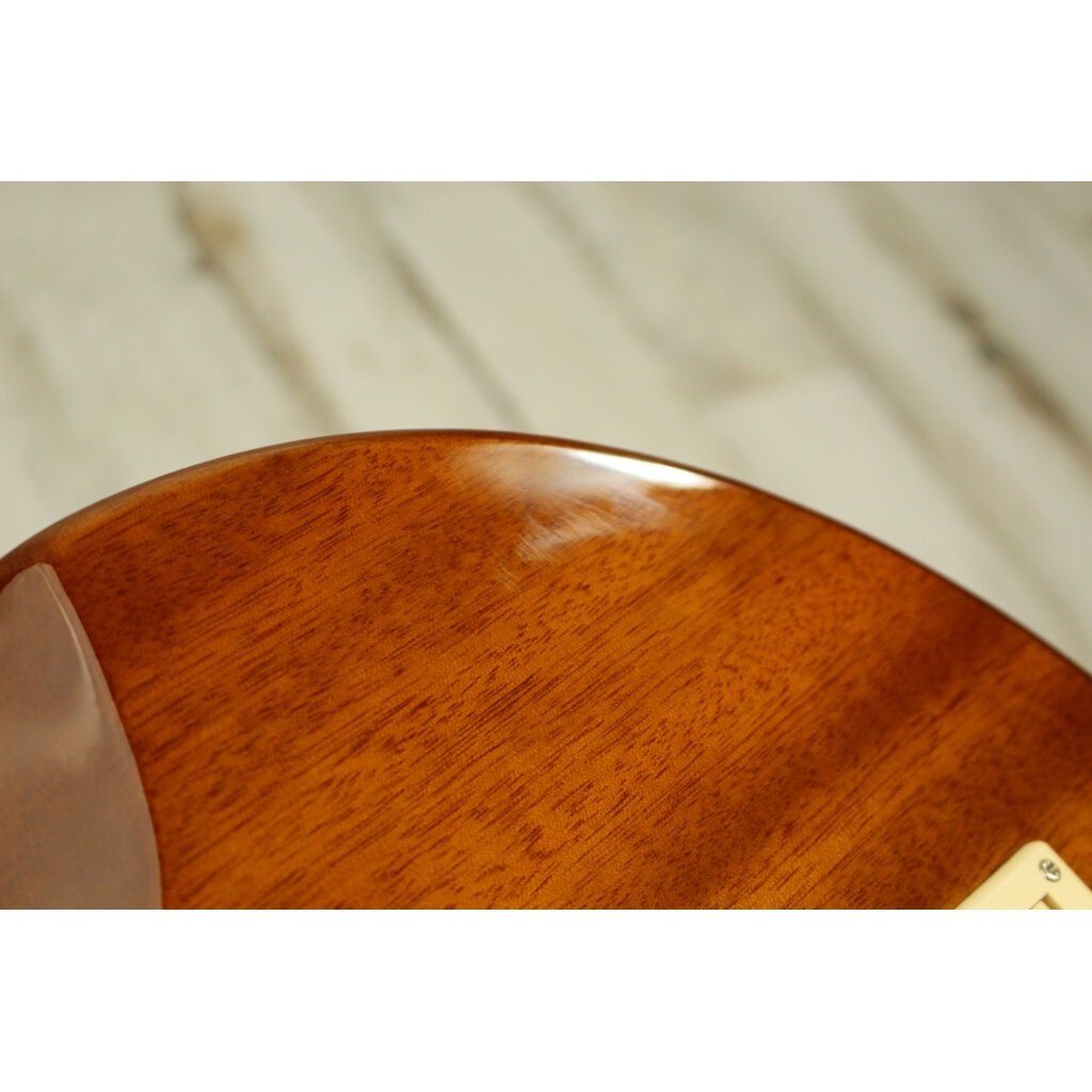 Epiphone USED Epiphone Alex Lifeson Les Paul Axcess (223)