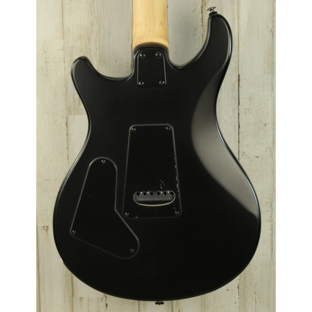 Paul Reed Smith USED Paul Reed Smith SE Swamp Ash CE 24 Sandblasted (663)