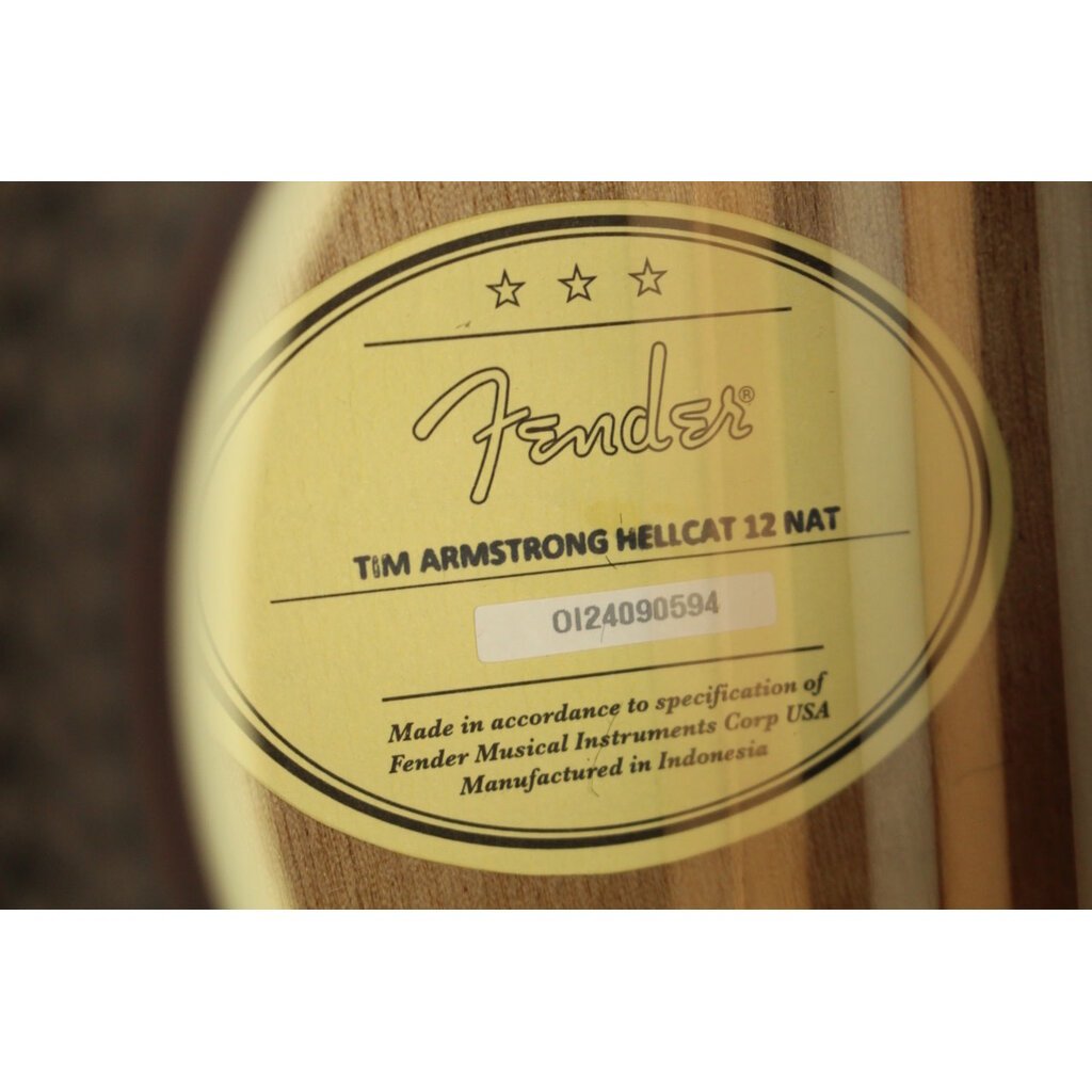 Fender USED Fender Tim Armstrong Hellcat 12 String (594)