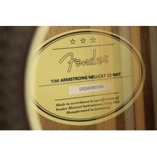Fender USED Fender Tim Armstrong Hellcat 12 String (594)