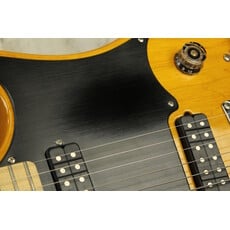 Paul Reed Smith USED Paul Reed Smith Myles Kennedy (138)