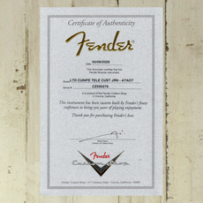 Fender DEMO Fender Limited Edition CuNiFe Bigsby Tele Custom Journmeyman Relic - Aged Taos Turquoise (278)