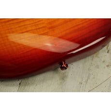 Fender USED Fender Standard Stratocaster Plus Top (476)