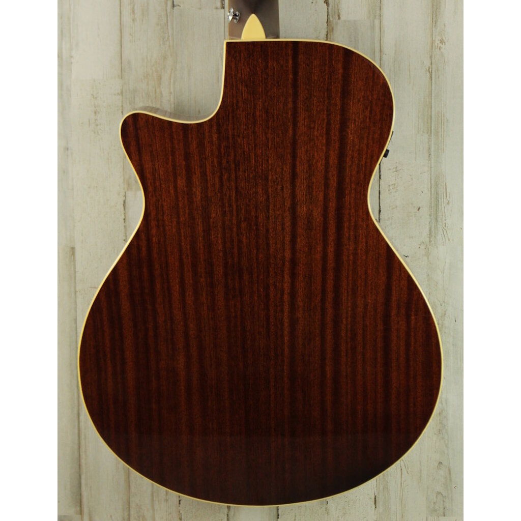 Ibanez DEMO Ibanez AEGA250 USA 250th Anniversary Limited Edition (749)