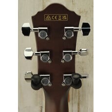 Ibanez DEMO Ibanez AEGA250 USA 250th Anniversary Limited Edition (749)