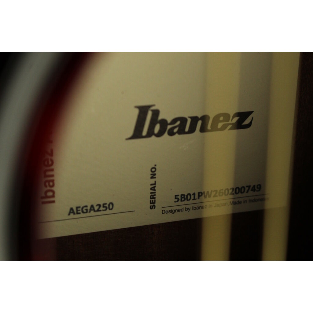 Ibanez DEMO Ibanez AEGA250 USA 250th Anniversary Limited Edition (749)