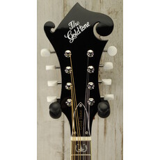 Gold Tone DEMO Gold Tone GM-35 F-Style Mandolin - Tobacco Sunburst (535)