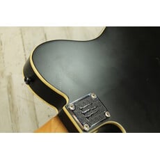 Schecter USED Schecter Diamond Series PT Monster Energy (928)