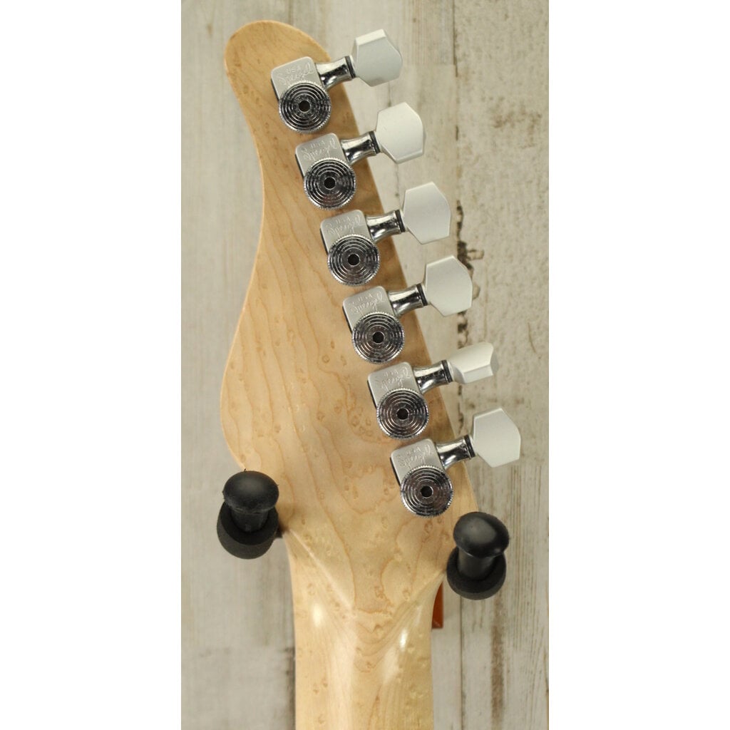 Zion Guitars USED 2000 Zion Guitars Radicaster (030)